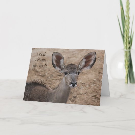 funny birthday antelope, can't believe my ears! karte (Vorderseite)