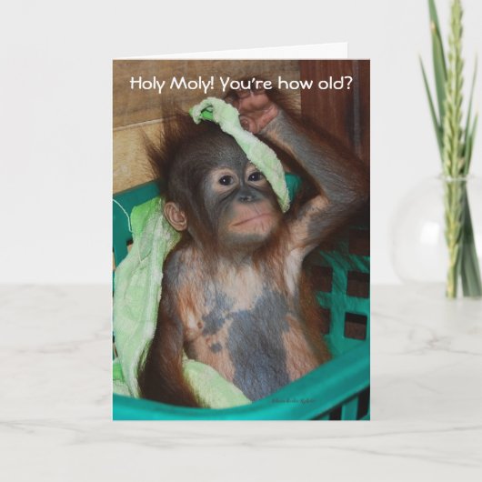 Funny Birthday Baby Orangutan Karte (Vorderseite)