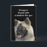 Funny Birthday Brother Dog Animal Spaß Karte<br><div class="desc">Jeder sollte einen Bruder wie dich haben. Ich verstehe nicht,  warum ich der Einzige sein muss,  der leidet</div>