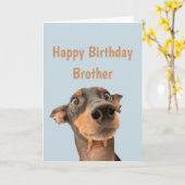 Funny Birthday Brother schockiert Hund Tier Spaß Karte (Gelbe Blume)