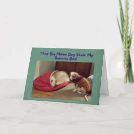 Funny Birthday Card Big Dog in Little Dog Bed Karte
