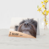 Funny Birthday Card - Die Hundenase Karte (Gelbe Blume)