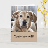 Funny Birthday Card Karte (Gelbe Blume)