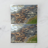 Funny Birthday Card Karte (Innenseite)