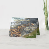 Funny Birthday Card Karte (Vorderseite)