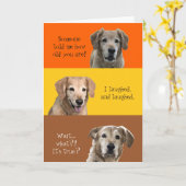 Funny Birthday Card Karte (Gelbe Blume)