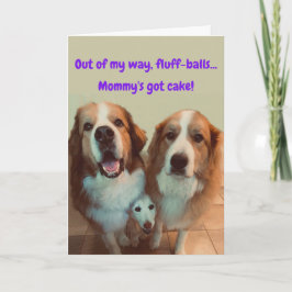 Funny Birthday Card Kurzer Hund mit flauschigen Hu Karte