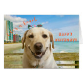 Funny Birthday Card Labrador Dog, innen schlicht (Vorderseite (Horizontal))