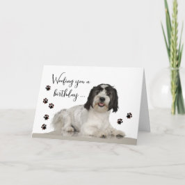 Funny Birthday Card mit Lowchen Dog und Muddy Paw Karte