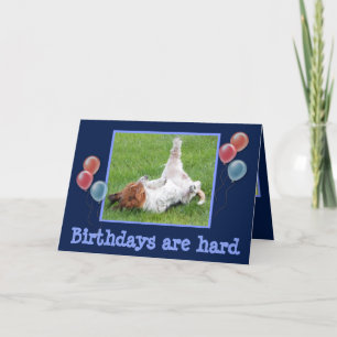 Funny Birthday Card mit Niedlichem Basset & Champa Karte