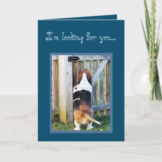 Funny Birthday Card mit Niedlichem Basset Hound & Karte (Vorderseite)