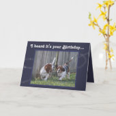 Funny Birthday Card mit Niedlichen Basset Hounds & Karte (Gelbe Blume)