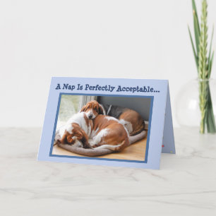 Funny Birthday Card mit Niedlicher Napping Basset Karte