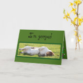 Funny Birthday Card mit Schlafbecken-Hof Karte (Gelbe Blume)