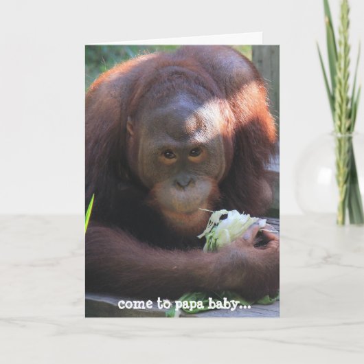 Funny Birthday Card, Orangutan Geburtstag Kuss! Karte (Vorderseite)