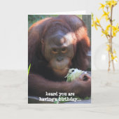 Funny Birthday Card, Orangutan will Kuchen! Karte (Gelbe Blume)