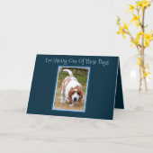Funny Birthday Card W/Cute Basset Hound & Cake Karte (Gelbe Blume)