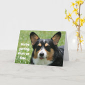 Funny Birthday Card Welsh Corgi Karte (Gelbe Blume)
