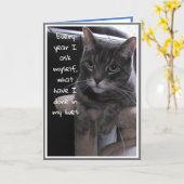 Funny Birthday Cat Card Karte (Gelbe Blume)
