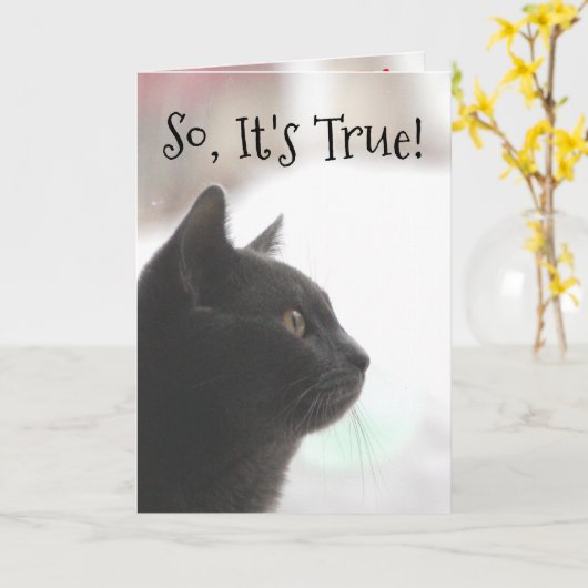 Funny Birthday Cat Card Karte (Gelbe Blume)