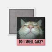 FUNNY BIRTHDAY CAT-KÜHLSCHRANKMAGNET MAGNET (Vorderseite/Rückseite)