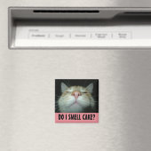 FUNNY BIRTHDAY CAT-KÜHLSCHRANKMAGNET MAGNET (In Situ (Geschirrspüler))