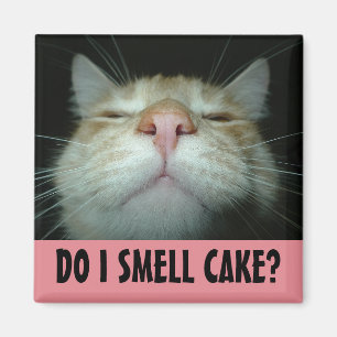 FUNNY BIRTHDAY CAT-KÜHLSCHRANKMAGNET MAGNET