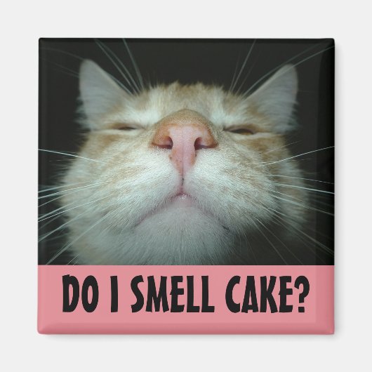 FUNNY BIRTHDAY CAT-KÜHLSCHRANKMAGNET MAGNET (Vorne)