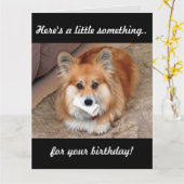 Funny Birthday Corgi mit Knochen Karte (Gelbe Blume)