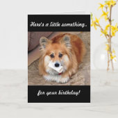 Funny Birthday Corgi mit Knochen Karte (Gelbe Blume)