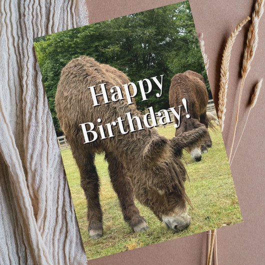 Funny Birthday Donkey Farm Animal Cute Barnyard  Karte