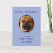 Funny Birthday From Dog To Owner Foto Card Karte (Vorderseite)