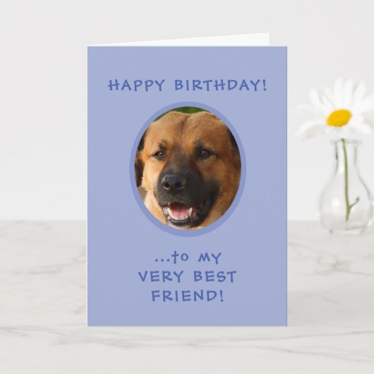 Funny Birthday From Dog To Owner Foto Card Karte (Kleine Pflanze)