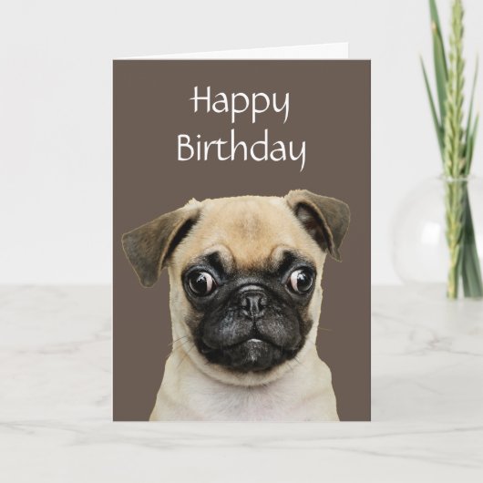 Funny, Birthday Happy Mops Hunde Humor Karte (Vorderseite)