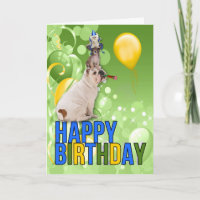 Funny Birthday Haustiere für eine gut ausgeglichen