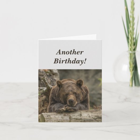 Funny Birthday it's Grizzly Bear Humor Karte (Vorderseite)