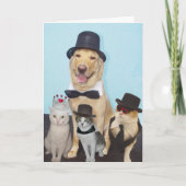 Funny Birthday Karte (Vorderseite)