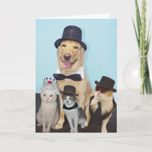 Funny Birthday Karte (Vorderseite)