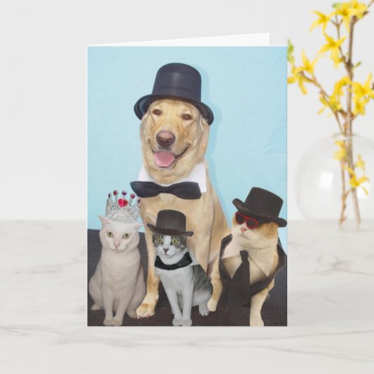 Funny Birthday Karte (Gelbe Blume)