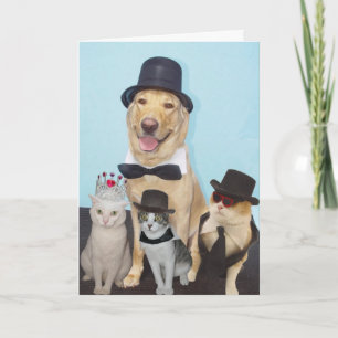 Funny Birthday Karte