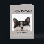 Funny Birthday Old Age Over the Hill, Cat Spaß Karte<br><div class="desc">Das Alter ist,  wenn es länger dauert,  eine gute Zeit zu überqueren,  als sie zu haben.  Spaß Katze Geburtstag Spaß.</div>