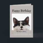 Funny Birthday Old Age Over the Hill, Cat Spaß Karte<br><div class="desc">Das Alter ist,  wenn es länger dauert,  eine gute Zeit zu überqueren,  als sie zu haben.  Spaß Katze Geburtstag Spaß.</div>