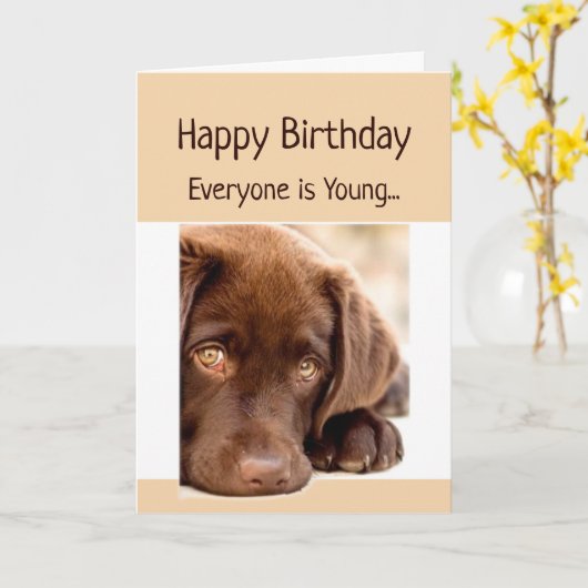 Funny Birthday Old Age Over the Hill Dog Karte (Gelbe Blume)