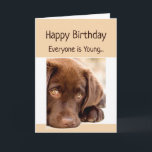 Funny Birthday Old Age Over the Hill Dog Karte<br><div class="desc">Die sonnige Geburtstagszeit über dem Hügel mit einem traurig aussehenden Schokoladenjungen Welpen</div>