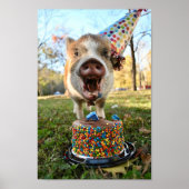 Funny Birthday Pig Poster (Vorne)