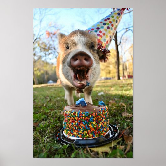 Funny Birthday Pig Poster (Vorne)