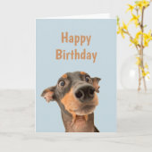 Funny Birthday schockiert Hund Tier Spaß Karte (Gelbe Blume)
