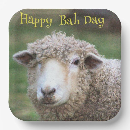 Funny Birthday Sheep Paper Plate Pappteller (Vorderseite)
