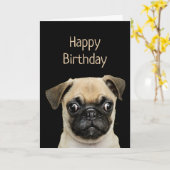 Funny Birthday Spaß Pet, Mops Dog Card Karte (Gelbe Blume)