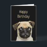 Funny Birthday Spaß Pet, Mops Dog Card Karte<br><div class="desc">Alles Gute zum Geburtstag Möpsen und Kisses und Geburtstag wünscht Niedlichen Aquarell Mops Hund</div>